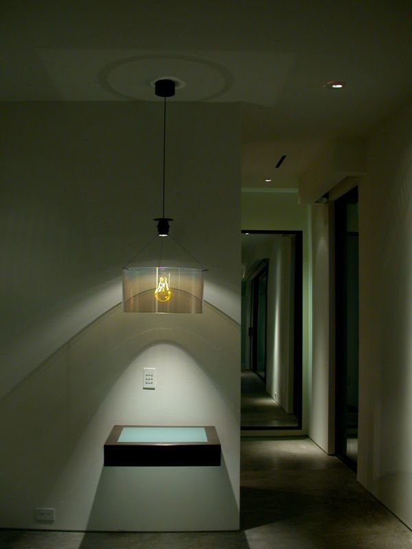 Travis project ceiling lamp